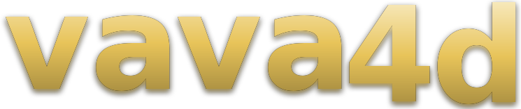 vava4d logo